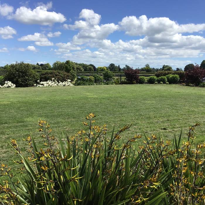 Pet And House Sitting Job In Cambridge Waipa Waikato 3432 Job 640026 Pet And House Sitting Job In Cambridge Waipa Waikato 3432 Job 640026